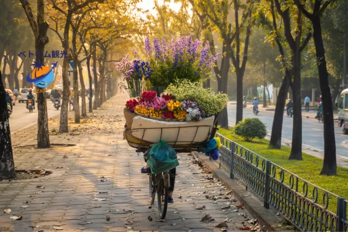 ベトナム北部の秋の観光・ハノイ観光/ニンビン省の観光/ハザン観光